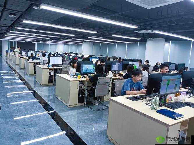 深圳蜜桃网络科技有限公司：专注于软件开发与应用