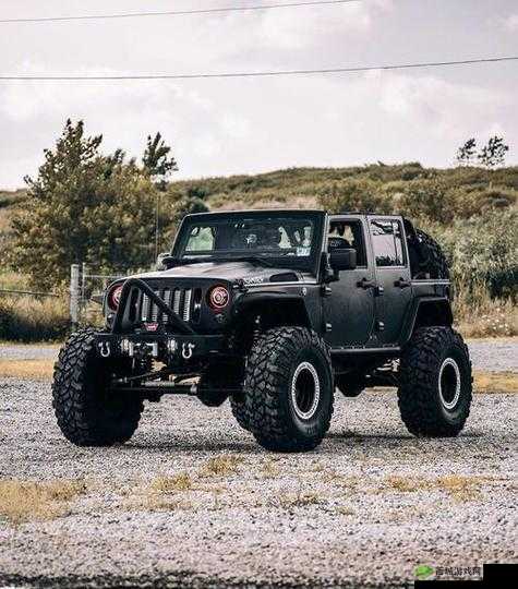 欧美亚精品 SUV:不止是交通工具,更是一种生活方式