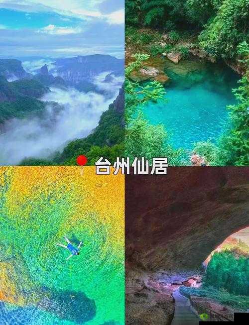 伊春园 2024 入口直达大象亲子温馨家庭游开启快乐之旅