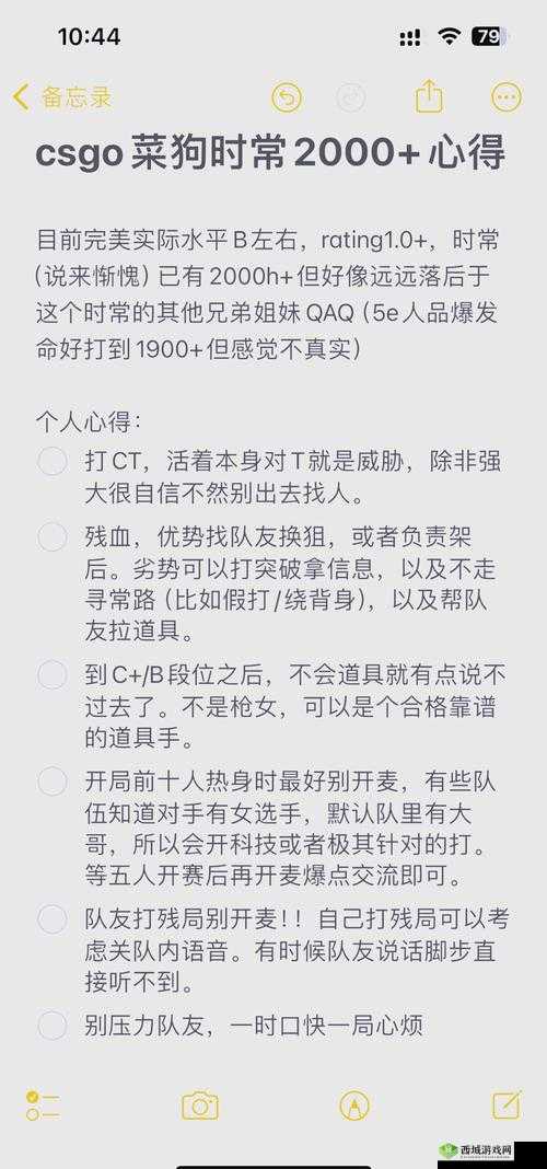 暴躁妹妹CSGO独特玩法揭秘：令人惊叹的游戏技巧分享