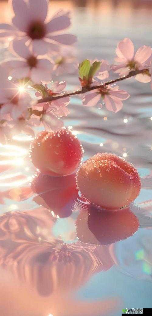 SN3858 粉色水蜜桃资源尚未更新：后续进展令人期待