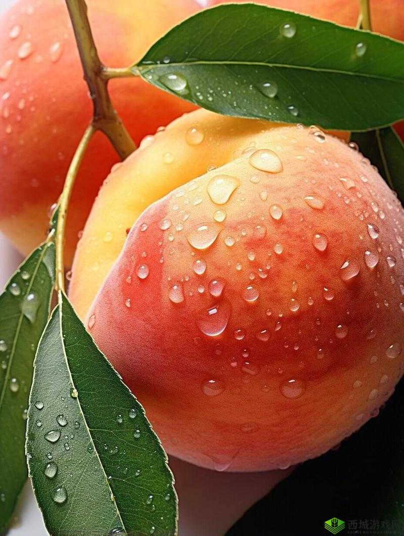 x7x7x7x7 任意噪水蜜桃：美味多汁让人欲罢不能的水果