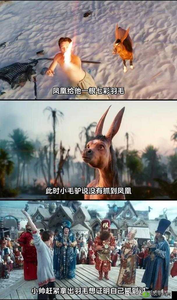 小毛驴影视在线观看：提供海量精彩影视资源任你欣赏