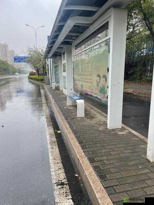 下雨天公交车站：乘客的避风港与等待之地