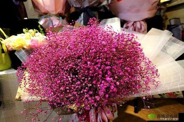 亚马逊女儿国满天星:神秘国度中的璀璨星辰奇观