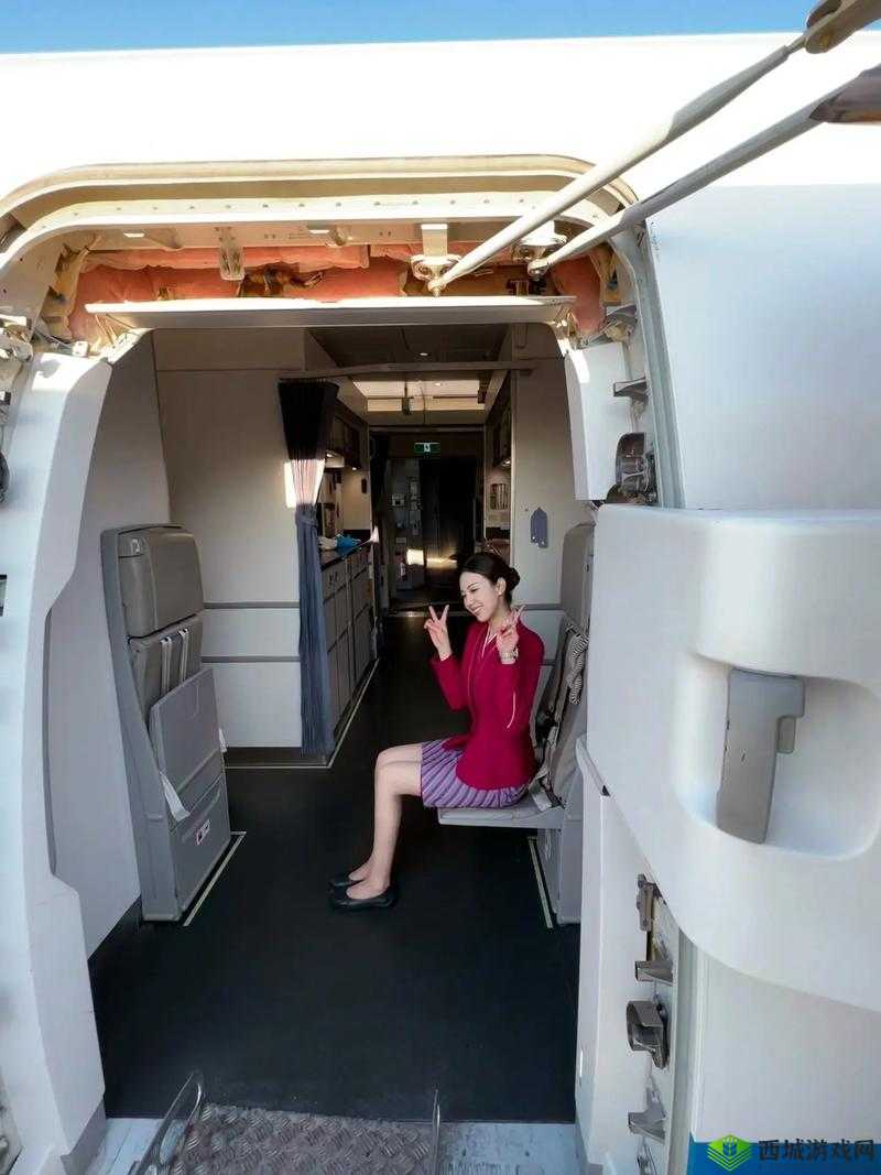 91 风月海棠空姐：神秘空姐的别样故事