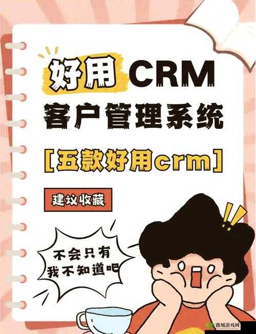 成免费 CRM 特色学生版：功能强大助力学生高效管理