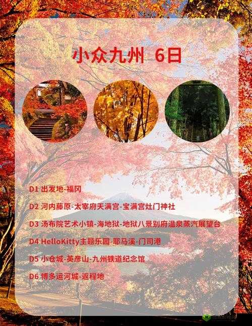 日本人 XXX ：在异国他乡追寻独特梦想与文化交融之旅