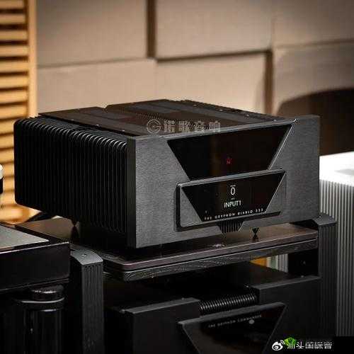 贵丰大菠萝 333：一款令人惊艳的独特产品