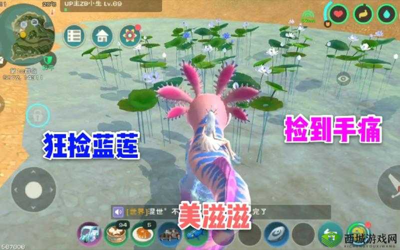 创造与魔法蓝莲花寻觅记，一湖只出一朵的珍稀之谜