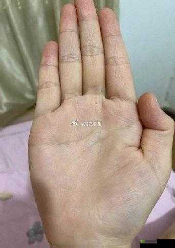 胸前那柔软掌心温热带来的独特温暖与触动