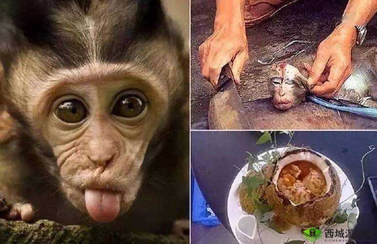 被吃小头头视频：令人震惊的残酷画面