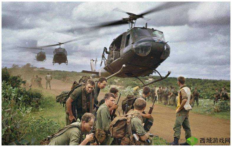 荒岛特训，码头轮船的战术与生存艺术