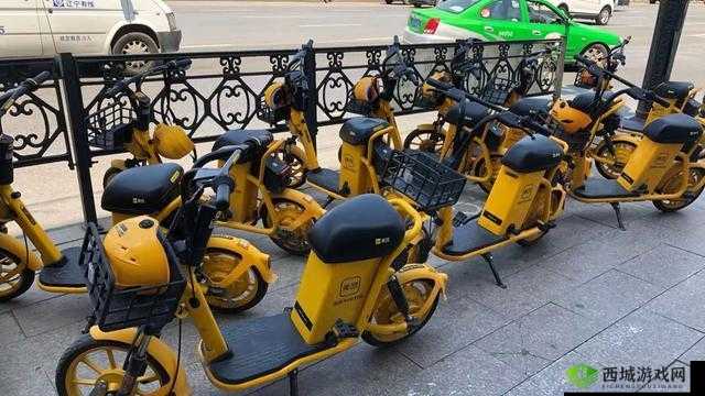 肉肉的小黄车：独特出行新伙伴