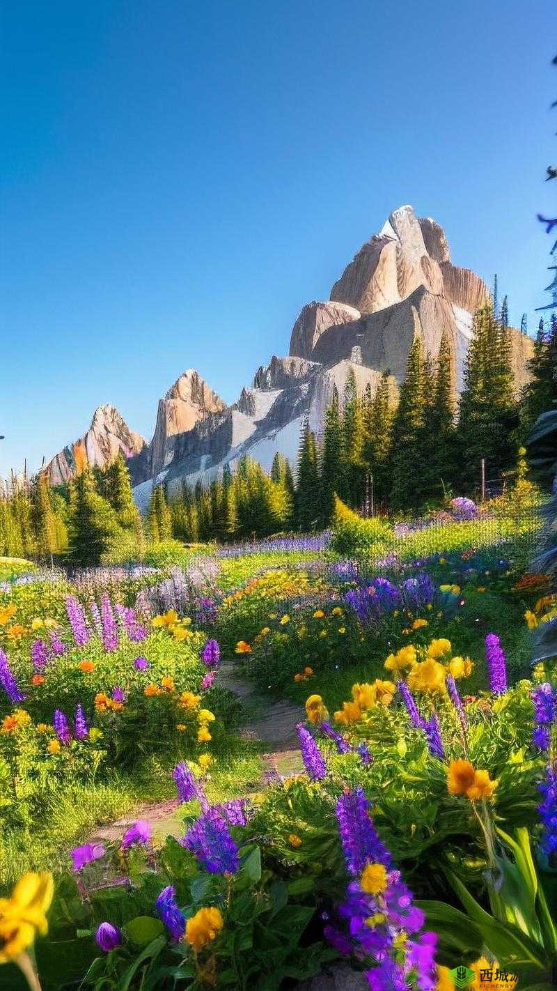 仙踪林网站欢迎您免费进入林，一起探索神秘的森林世界