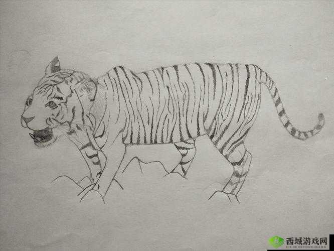 白虎污站相关内容:探索其独特魅力与背后的故事