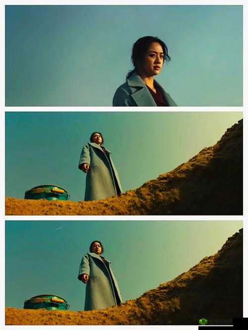 151 大但人文艺术欣赏电影解说：独特视角领略艺术之美