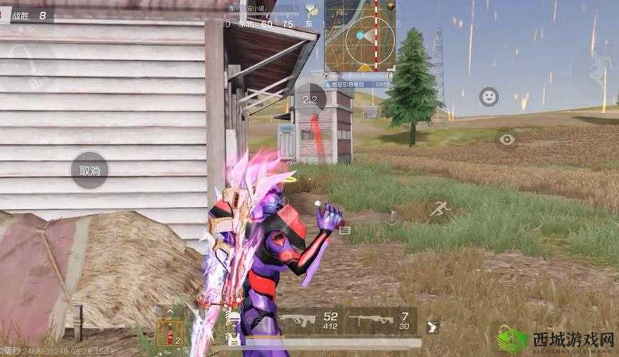 荒野行动,策略与技巧的极限挑战