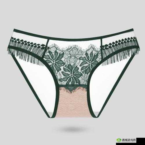 女式花三角裤头：关于其设计风格与时尚元素的探讨