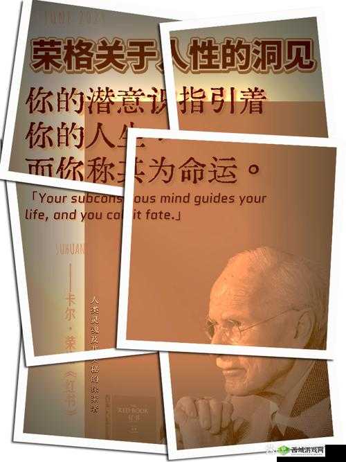 无人区码一码二码W358CC:探索未知领域的神秘编码