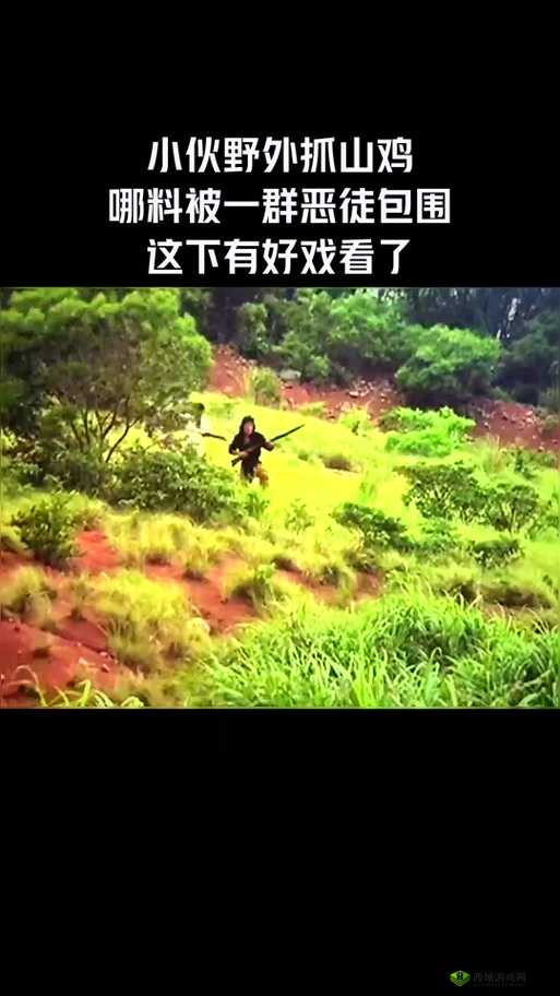 插曲的视频在线播放免费观看高清:海量精彩内容等你发现