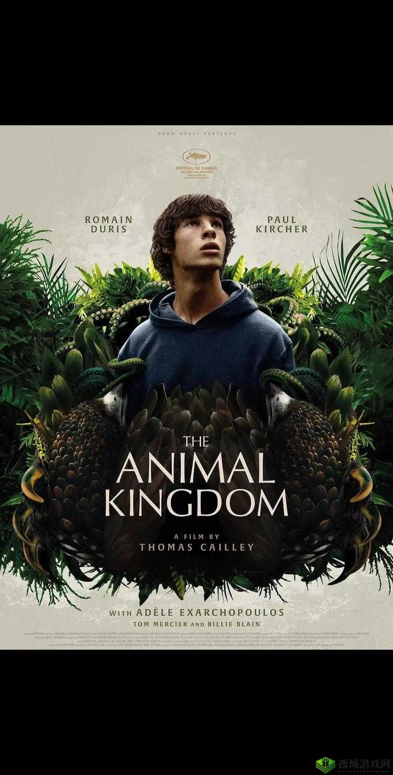 人物动物高清在线观看定档：精彩大片即将震撼来袭