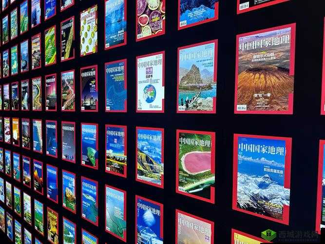 亚洲无砖无线码带来独特的视觉与体验之探索