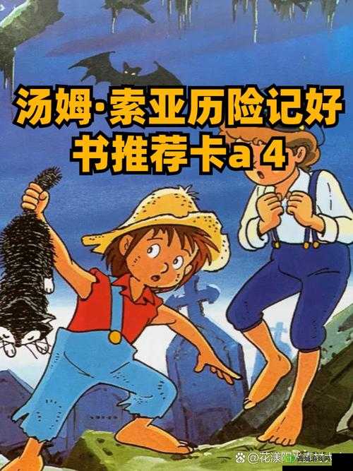 tom390 汤姆：探索无限可能的创新者