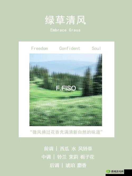 探索未知的视觉之旅：一本大道色卡 1 卡 2 卡 3 的奥秘