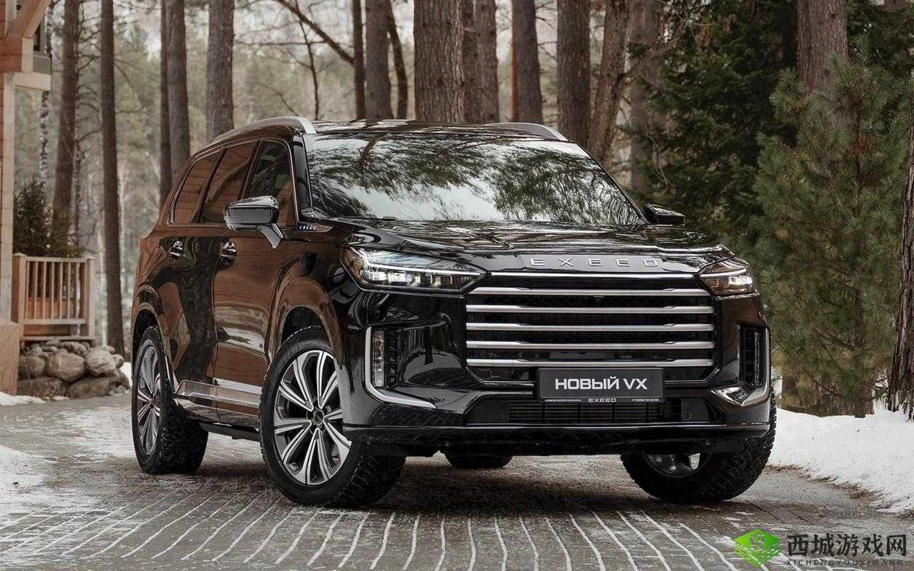 497799 欧洲版国产 SUV：高性价比性能逆袭的典范