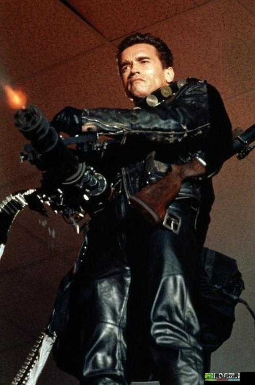 终结者2审判日枪械握把哪个好，使用推荐在资源管理中的重要性及策略