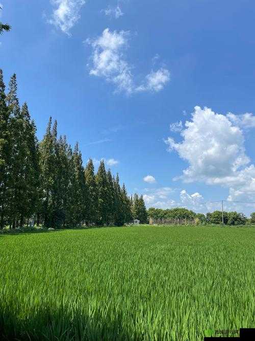 公交车上的诗意 10：感悟生活的点滴美好