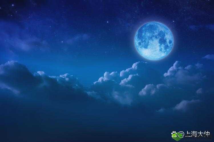 高清有码黄在看：打造视觉盛宴，满足你的无限遐想