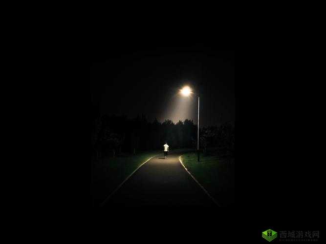 黑暗与曙光好玩吗?核心特色玩法解密