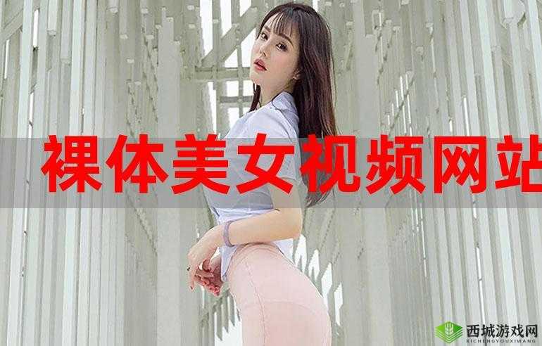 黄色视频网站免费下载资源大全：畅享精彩无需付费