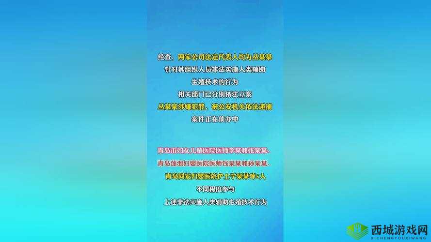 17c 一起报草:关于其详细解读与深入分析