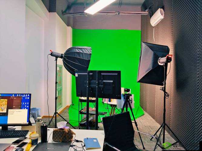 春雨直播全婐 APP 免费：绿色安全，纯净直播体验