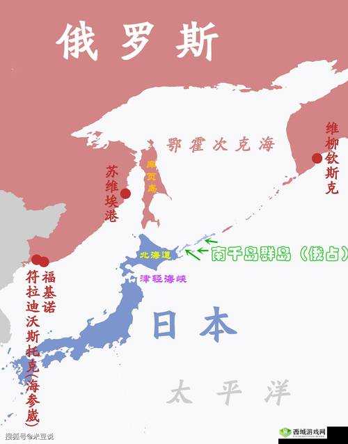 JAGNEXSMAX 在日本之深入探究与全面分析