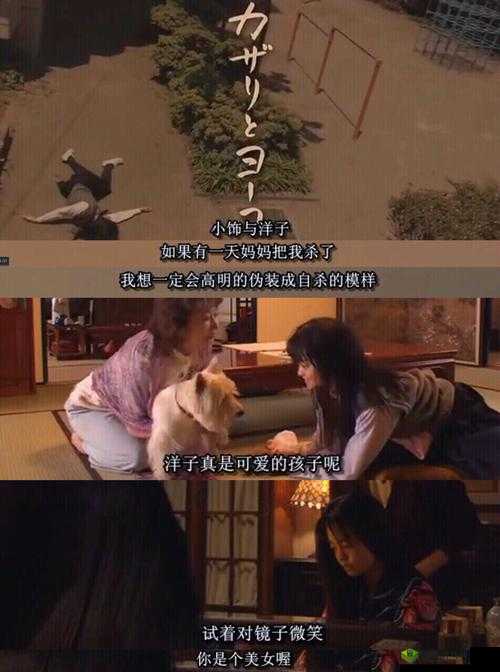 非洲妓女 BBW 背后的复杂故事与人性探讨