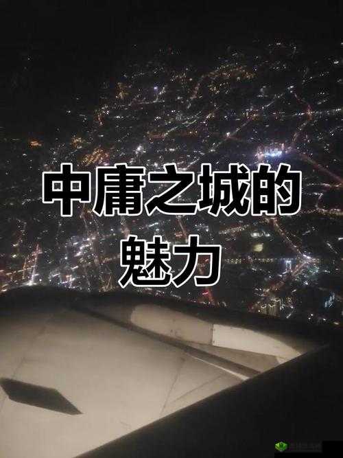 丰年经继拇：探讨传统与现代的奇妙交融