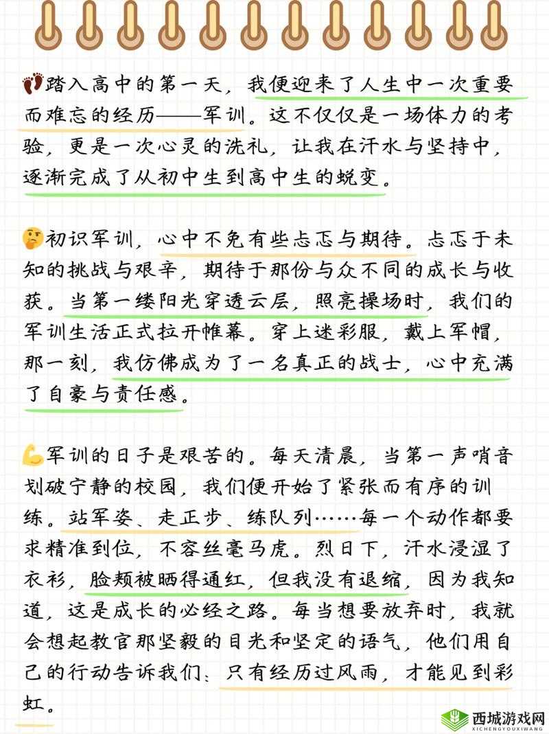 小霜高中成长日记:记录青春的点滴与蜕变