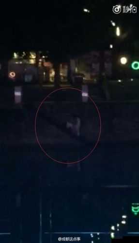 最新门事件图片：震惊世人的重大事件背后的真相究竟如何