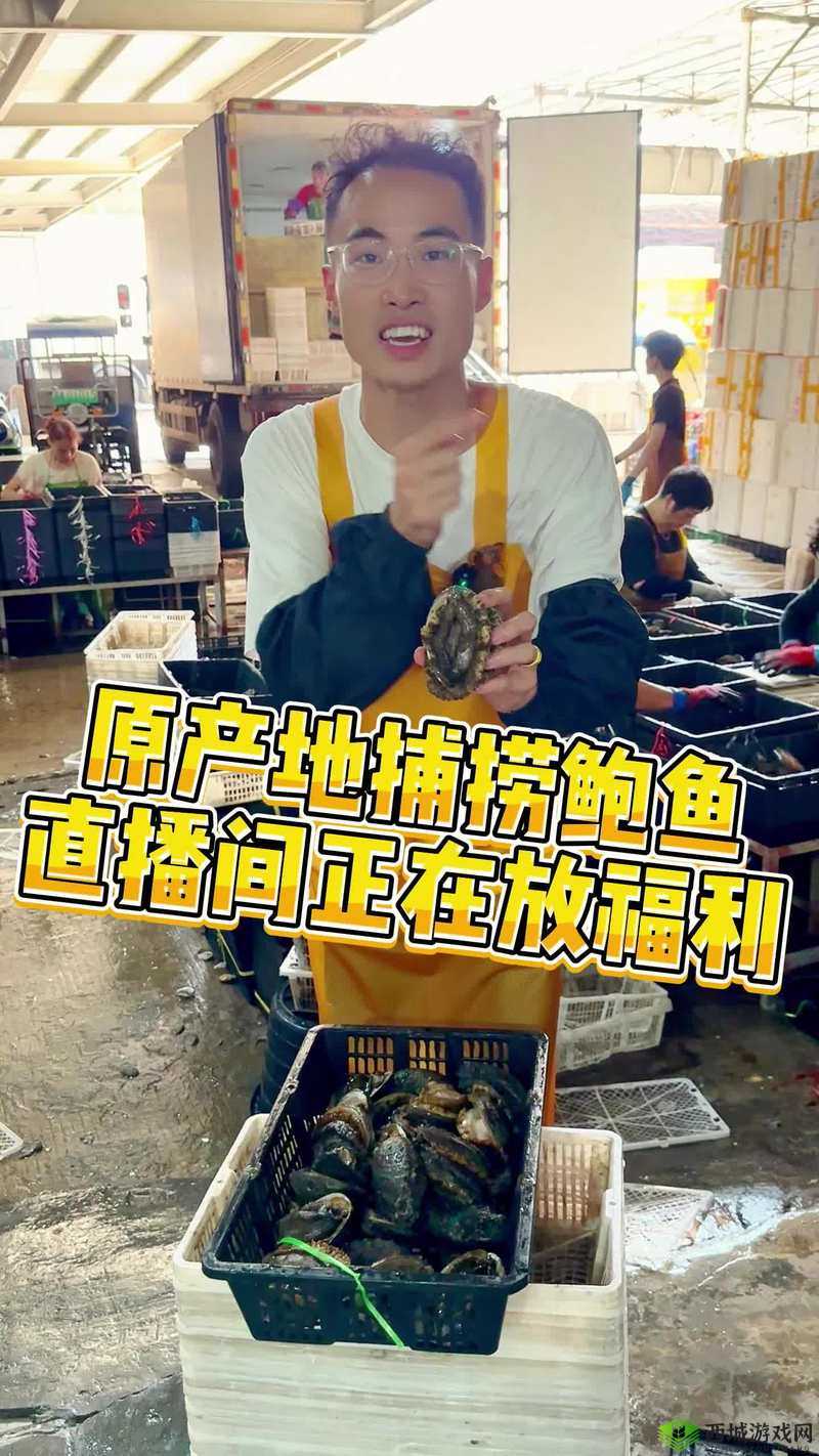 鲍鱼直播:引领美食直播新潮流