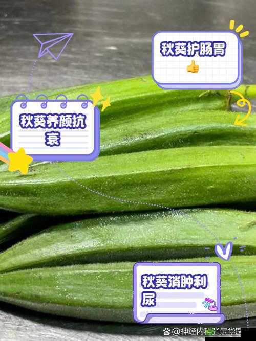 丝瓜与绿巨人蕾丝秋葵的神奇功效：滋养肌肤、促进消化、增强免疫力
