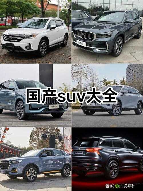 国产 SUV 大全：探索国产 SUV 车型的无限魅力与多样选择