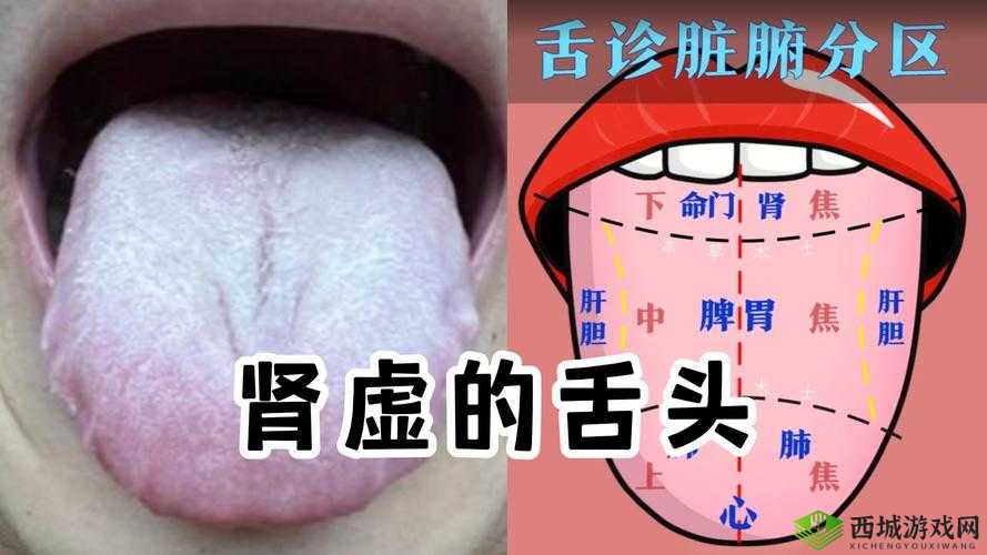 往下面放什么像舌头的东西:探寻其背后的神秘之处