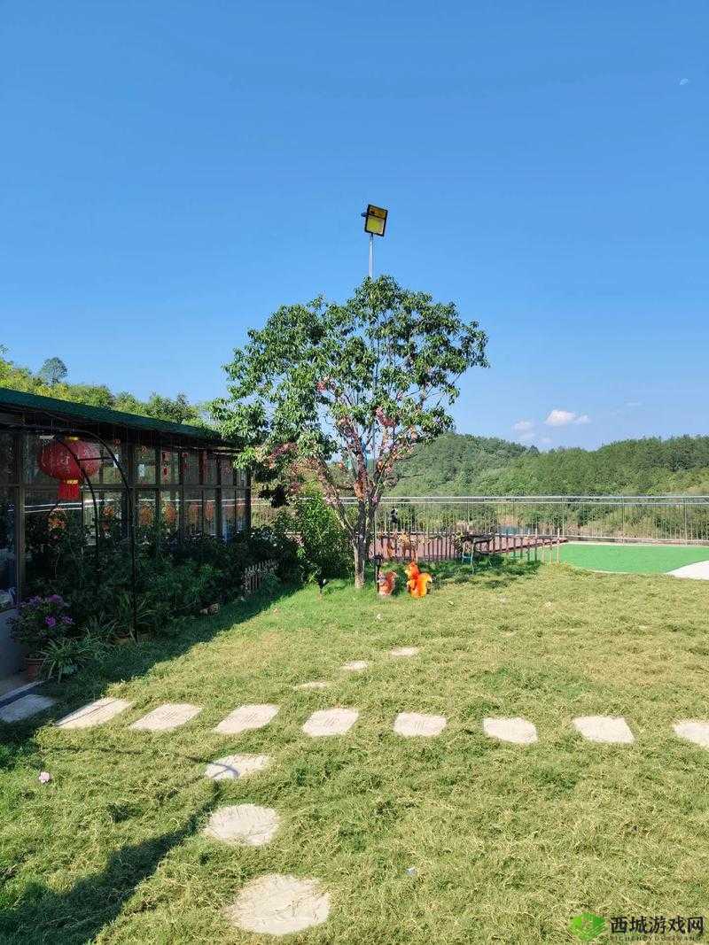 他那里早已支起了帐篷:这究竟是怎么回事呢