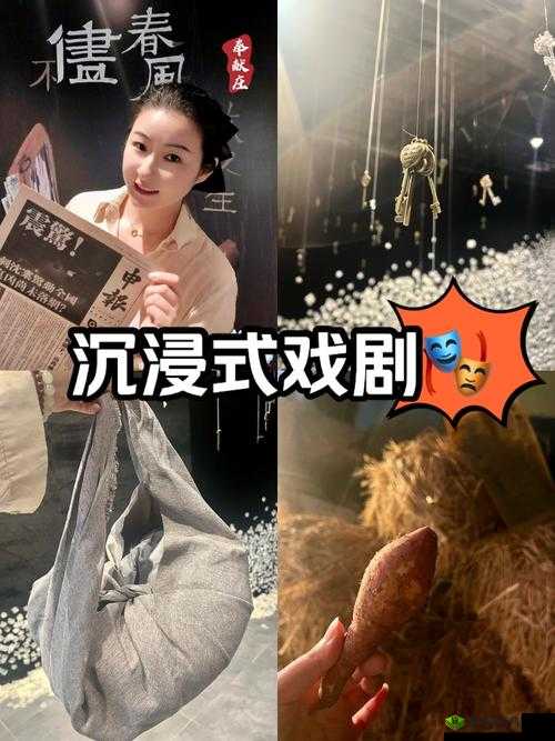 GOGOGO 中国剧情介绍与评价大牛：深度剖析剧情与精彩解读