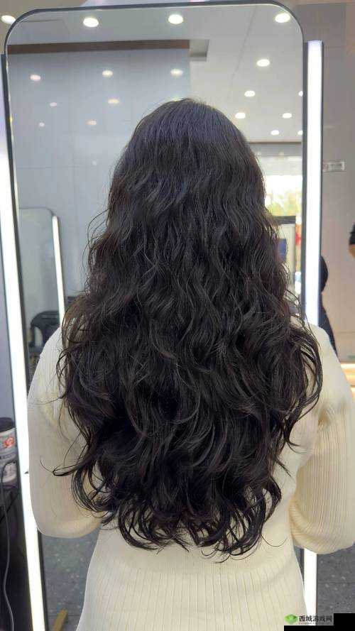 日本曰皮 69xxx 的独特魅力与精彩呈现