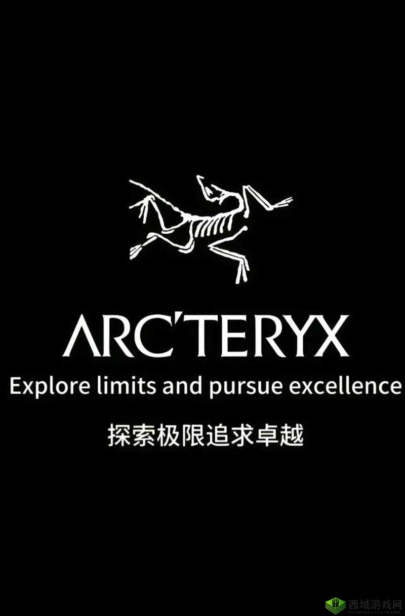 WindowsChannel 学生：探索知识海洋追求卓越未来